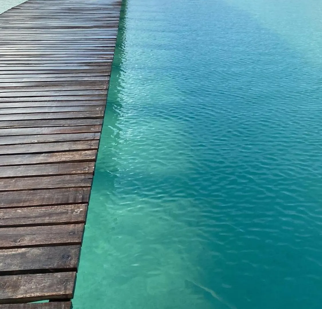 Guarumbo, La Mejor Ubicacion 0*, Bacalar México